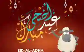 وش حكم اللي ما يضحي في العيد وهو قادر على أن يضحي؟