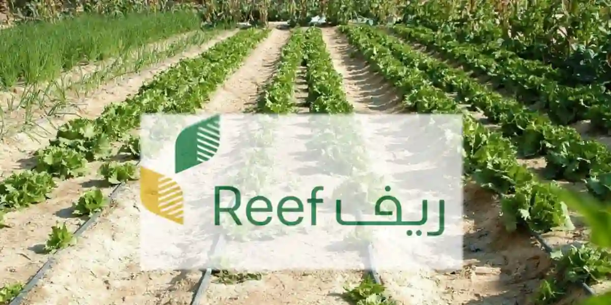 الفئات المستفيدة من دعم ريف والتسجيل فى الدعم reef